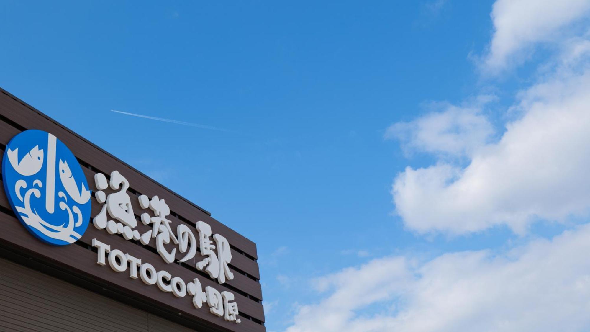 Toyoko Inn Odawara Eki Higashi Guchi Dış mekan fotoğraf
